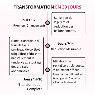 Lumera Pro™ – Adieu le Méno Ventre