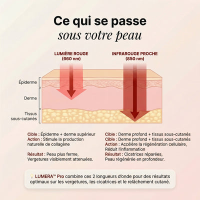 Lumera Pro™ – Adieu le Ventre Post-Partum