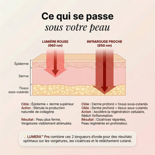 Lumera Pro™ – Adieu le Ventre Post-Partum