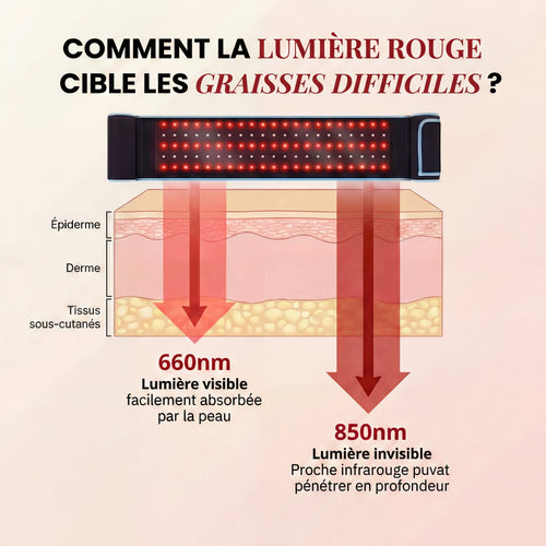 Lumera Pro™ – Adieu le Méno Ventre