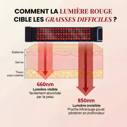 Lumera Pro™ – Adieu le Méno Ventre