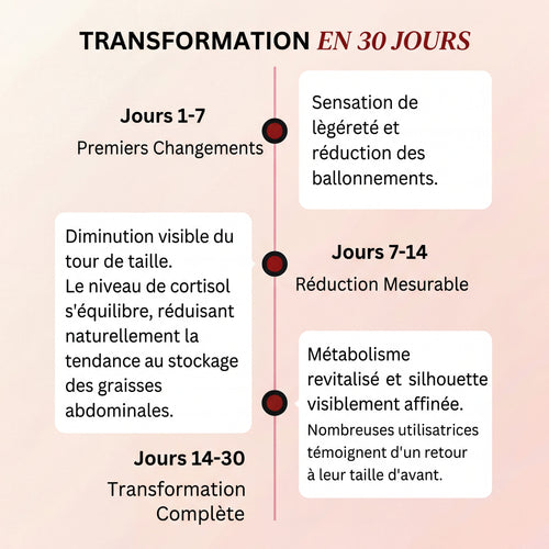 Lumera Pro™ – Adieu le Méno Ventre